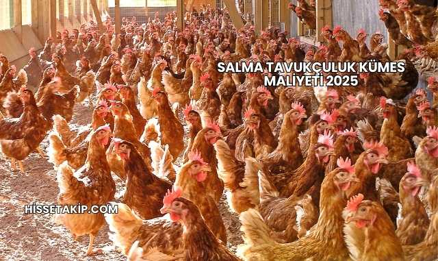 Salma Tavukçuluk Kümes Maliyeti 2025