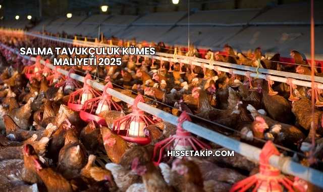 Salma Tavukçuluk Kümes Maliyeti 2025