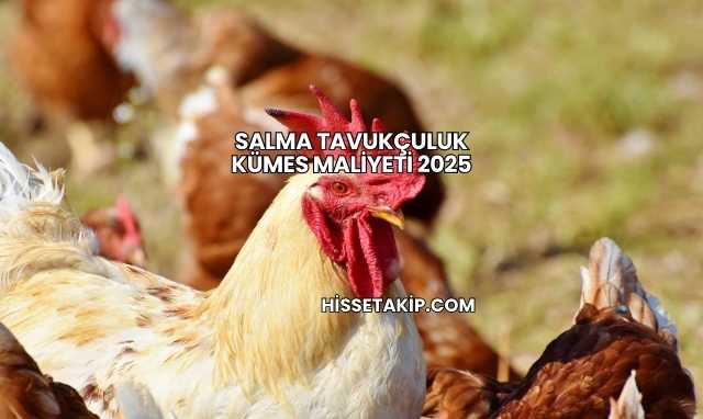 Salma Tavukçuluk Kümes Maliyeti 2025
