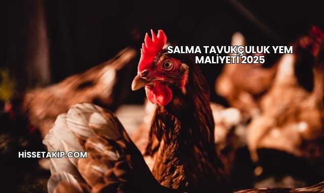 Salma Tavukçuluk Yem Maliyeti 2025