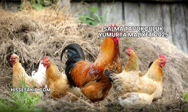 Salma Tavukçuluk Yumurta Maliyeti 2025