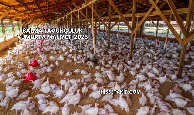 Salma Tavukçuluk Yumurta Maliyeti 2025