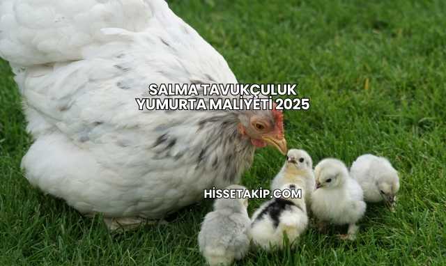 Salma Tavukçuluk Yumurta Maliyeti 2025
