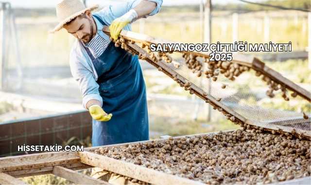Salyangoz Çiftliği Maliyeti 2025