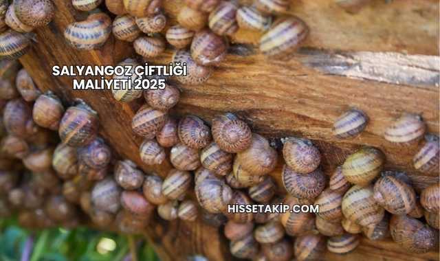 Salyangoz Çiftliği Maliyeti 2025