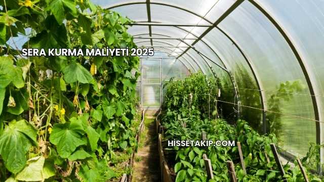 Sera Kurma Maliyeti 2025