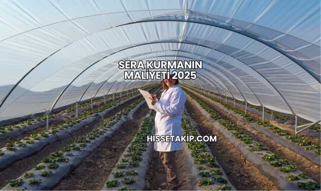 Sera Kurmanın Maliyeti 2025