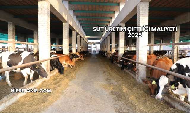 Süt Üretim Çiftliği Maliyeti 2025