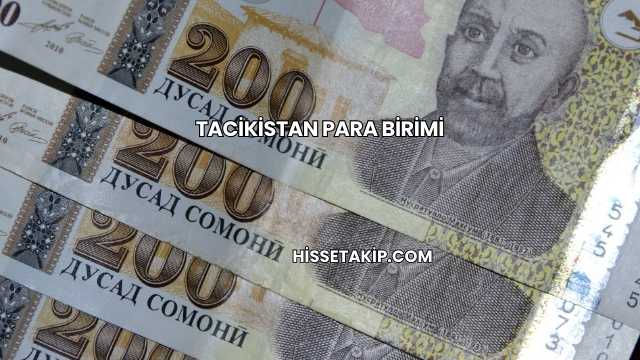 Tacikistan Para Birimi