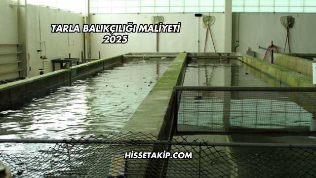 Tarla Balıkçılığı Maliyeti 2025