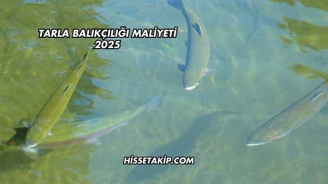 Tarla Balıkçılığı Maliyeti 2025