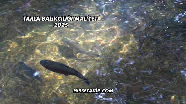 Tarla Balıkçılığı Maliyeti 2025