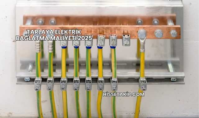 Tarlaya Elektrik Bağlatma Maliyeti 2025