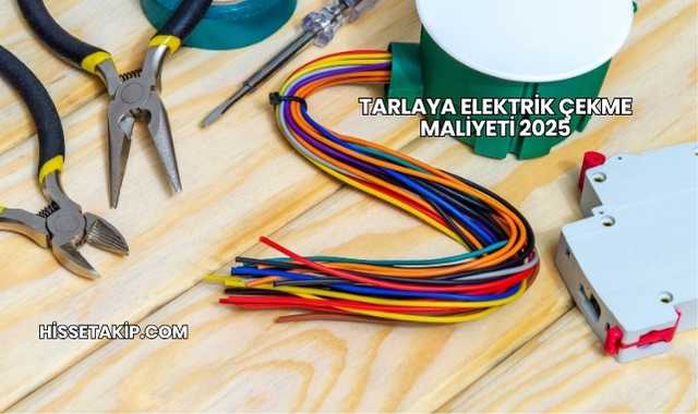 Tarlaya Elektrik Çekme Maliyeti 2025