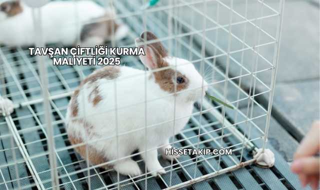 Tavşan Çiftliği Kurma Maliyeti 2025