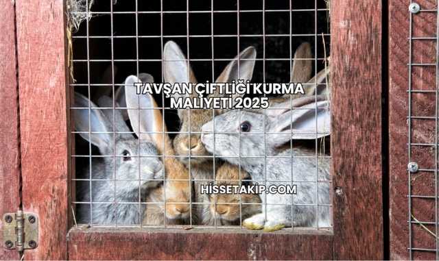 Tavşan Çiftliği Kurma Maliyeti 2025
