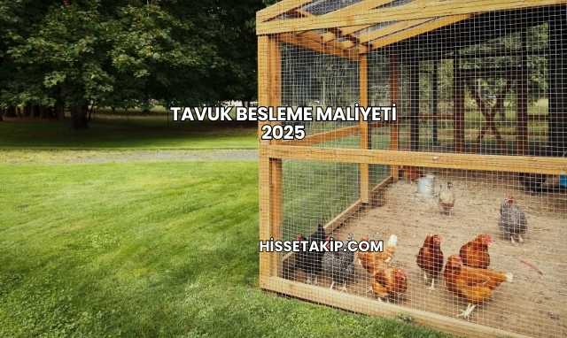 Tavuk Besleme Maliyeti 2025