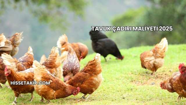 Tavuk Çadırı Maliyeti 2025