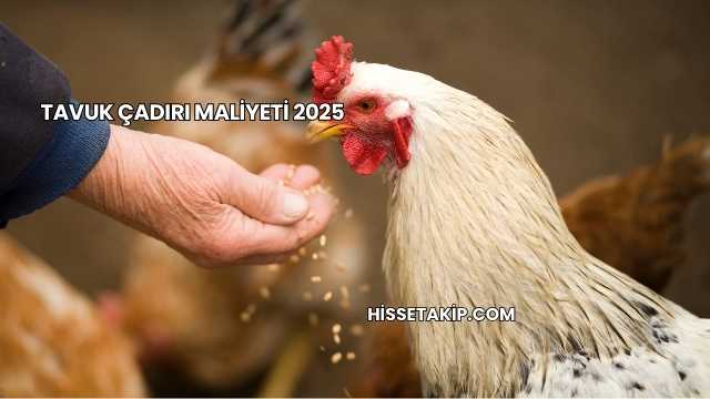 Tavuk Çadırı Maliyeti 2025
