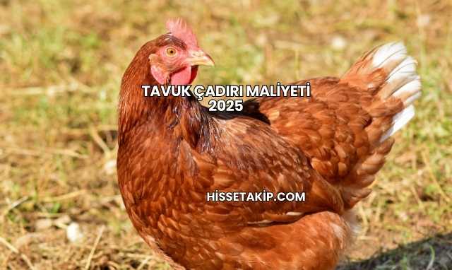 Tavuk Çadırı Maliyeti 2025