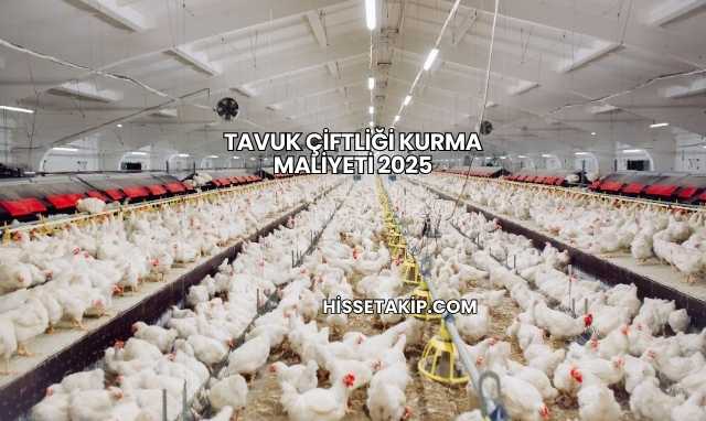 Tavuk Çiftliği Kurma Maliyeti 2025