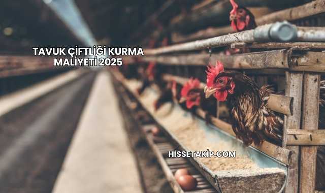 Tavuk Çiftliği Kurma Maliyeti 2025