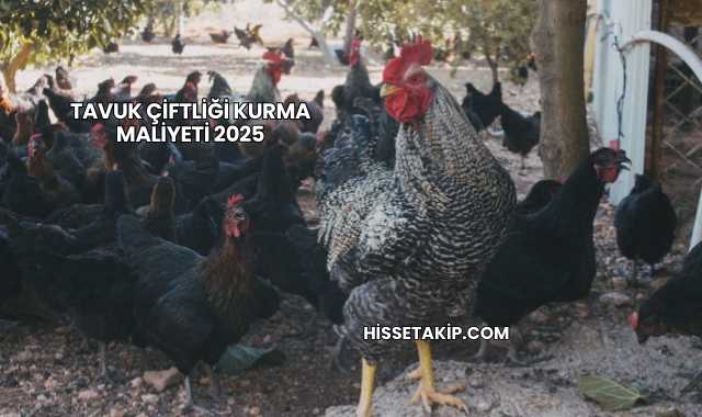 Tavuk Çiftliği Kurma Maliyeti 2025