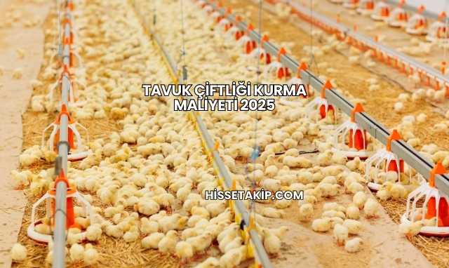 Tavuk Çiftliği Kurma Maliyeti 2025