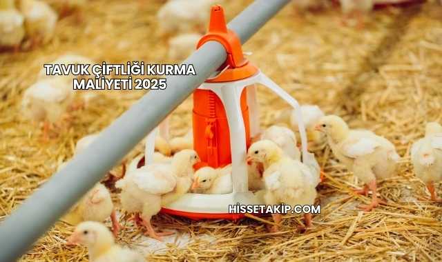 Tavuk Çiftliği Kurma Maliyeti 2025