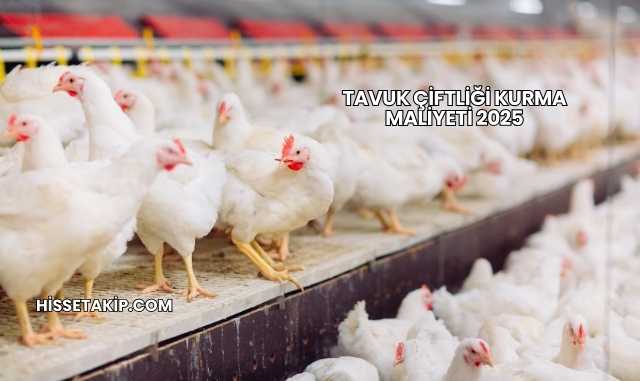 Tavuk Çiftliği Kurma Maliyeti 2025
