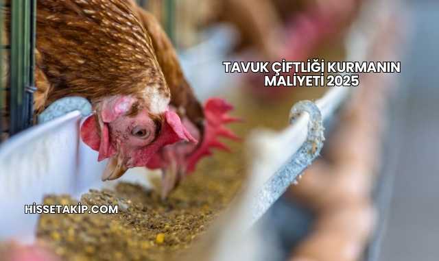 Tavuk Çiftliği Kurmanın Maliyeti 2025