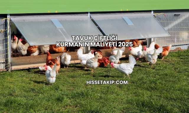Tavuk Çiftliği Kurmanın Maliyeti 2025