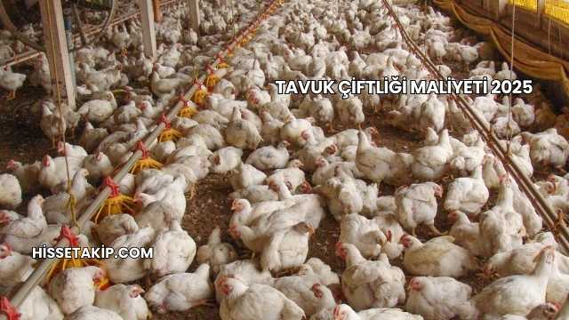 Tavuk Çiftliği Maliyeti 2025