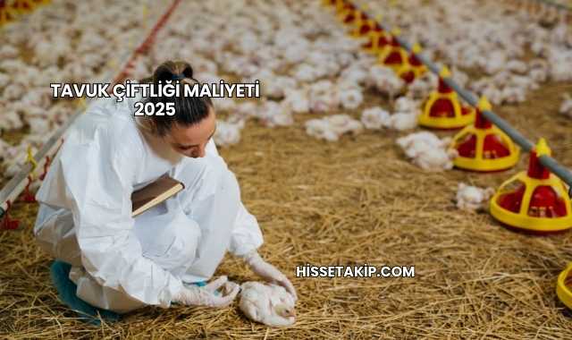 Tavuk Çiftliği Maliyeti 2025