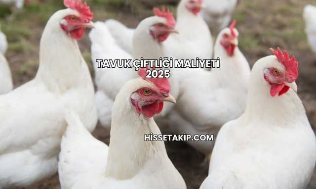 Tavuk Çiftliği Maliyeti 2025