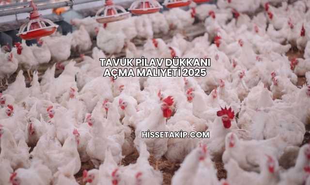 Etlik Tavuk Çiftliği Kurma Maliyeti 2025