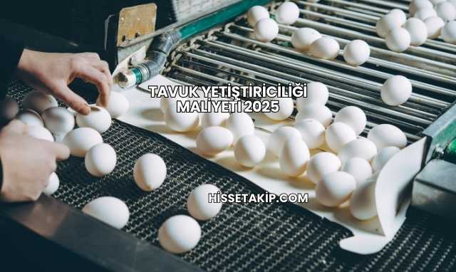 Tavuk Yetiştiriciliği Maliyeti 2025