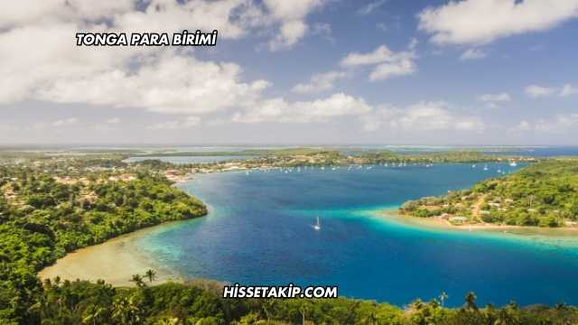 Tonga Para Birimi
