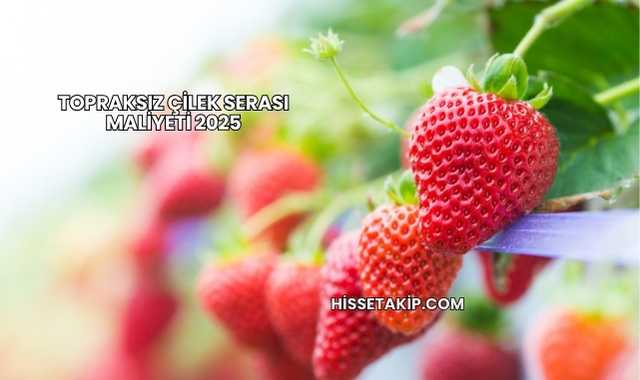 Topraksız Çilek Serası Maliyeti 2025