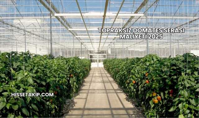 Topraksız Domates Serası Maliyeti 2025
