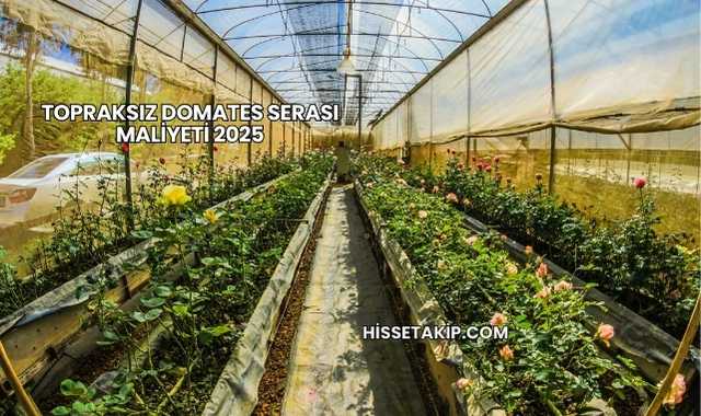 Topraksız Domates Serası Maliyeti 2025