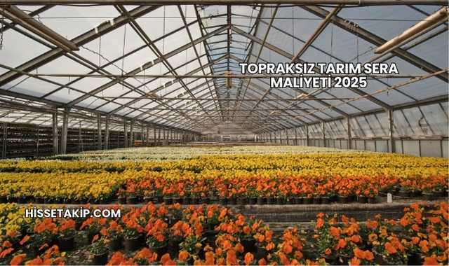 Topraksız Tarım Sera Maliyeti 2025