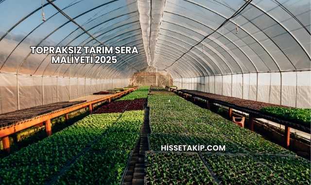Topraksız Tarım Sera Maliyeti 2025