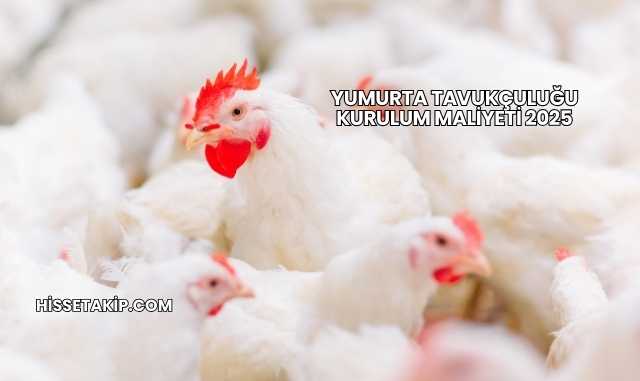 Yumurta Tavukçuluğu Kurulum Maliyeti 2025