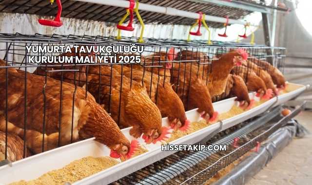 Yumurta Tavukçuluğu Kurulum Maliyeti 2025