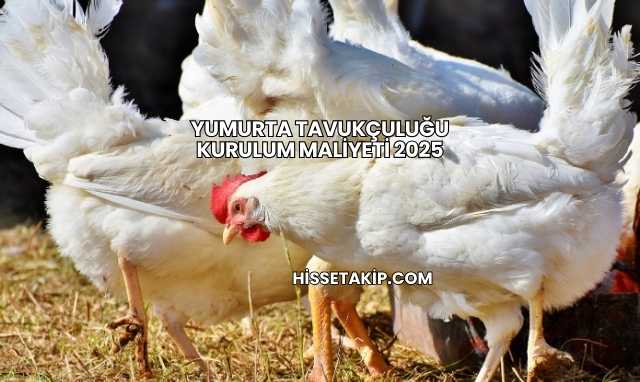 Yumurta Tavukçuluğu Kurulum Maliyeti 2025