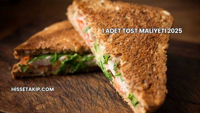 1 Adet Tost Maliyeti 2025