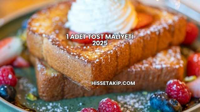 1 Adet Tost Maliyeti 2025