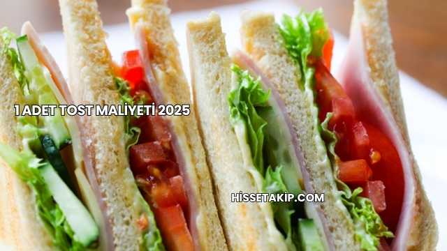 1 Adet Tost Maliyeti 2025