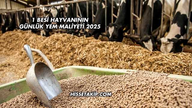 1 Besi Hayvanının Günlük Yem Maliyeti 2025
